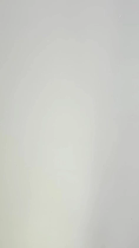 Shark Attack The Game - Nederlandstalig Kaartspel - Afbeelding 2