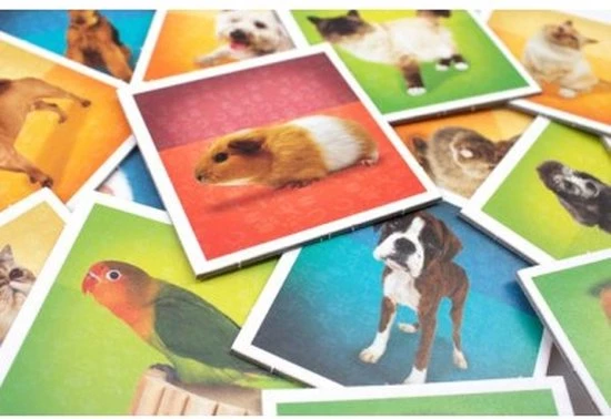 Tactic Pets Memo - Kinderspel - Afbeelding 2