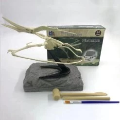 Nixnix Dinosaurus Opgravingsset - Pterosaurs - Speelgoed - Dino Fossiel