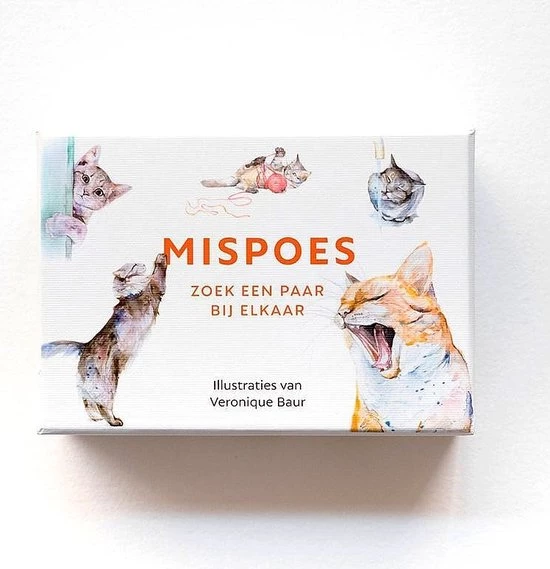 Veronique Baur Mispoes - Memospel - Afbeelding 2